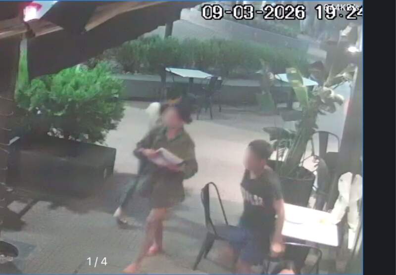 Tras una estafa en un restaurante, investigan a una mujer por otro hecho captado en cámaras en Posadas imagen-10