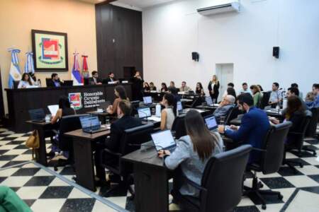 El Concejo Deliberante avanzó en la designación de autoridades para órganos de control municipal imagen-5