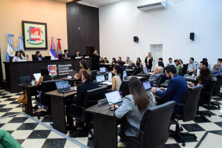 El Concejo Deliberante avanzó en la designación de autoridades para órganos de control municipal imagen-3