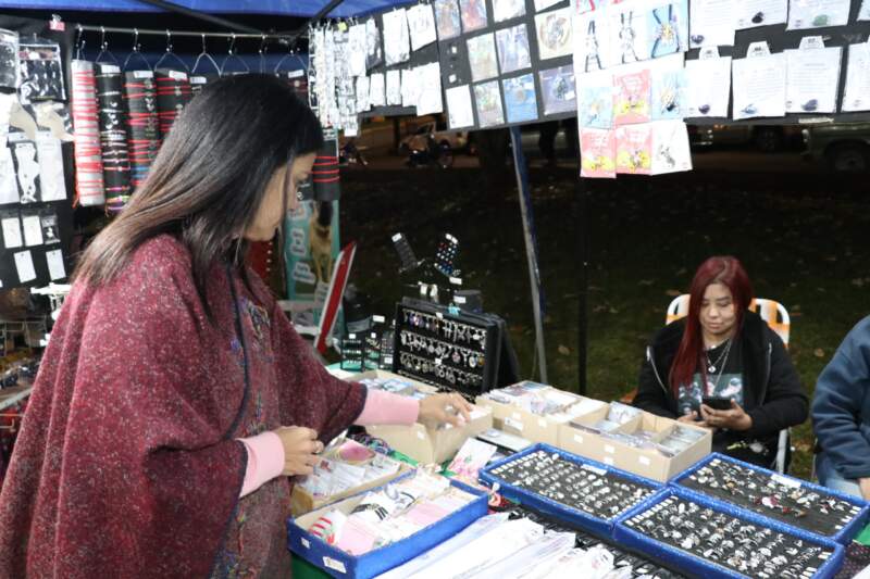 Alem realizará el acto de apertura de la Escuela Municipal de Negocios y Emprendedurismo imagen-2