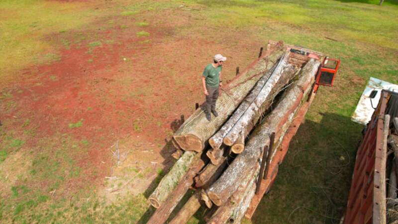 Golpe al tráfico ilegal de madera nativa en Misiones: secuestran camiones y rollos sin documentación en operativos de control forestal imagen-4