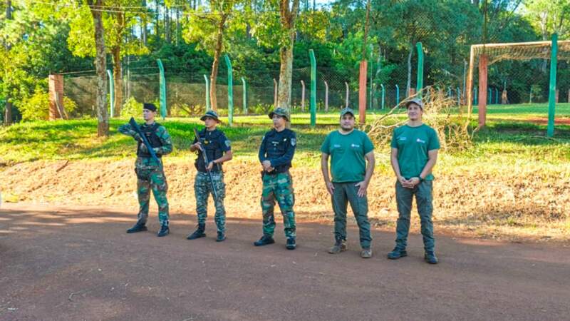 Golpe al tráfico ilegal de madera nativa en Misiones: secuestran camiones y rollos sin documentación en operativos de control forestal imagen-6