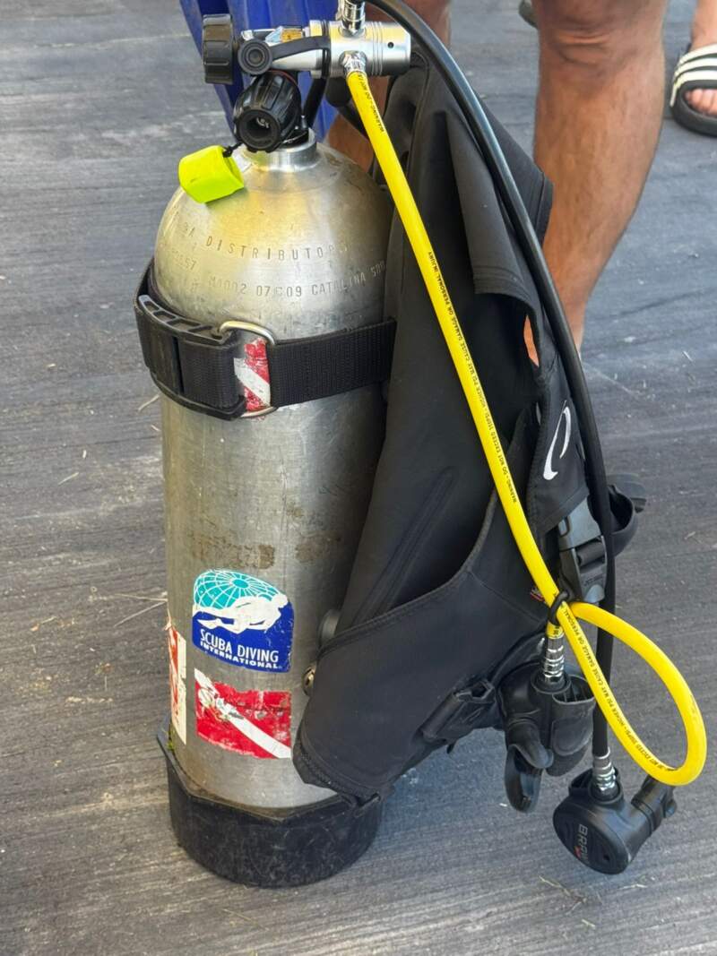 El río como aula: El Palenque lanza un curso de buceo con certificación internacional imagen-4