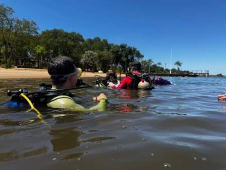 El río como aula: El Palenque lanza un curso de buceo con certificación internacional El río como aula: El Palenque lanza un curso de buceo con certificación internacional imagen-4