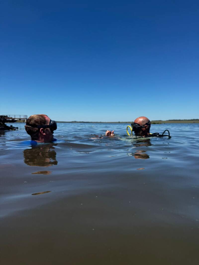 El río como aula: El Palenque lanza un curso de buceo con certificación internacional imagen-10