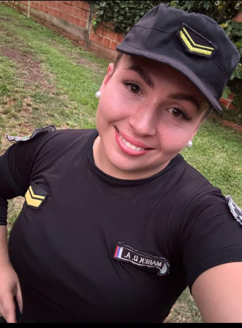 Dramático rescate de un oso melero atropellado en la Ruta Nacional 12 imagen-2