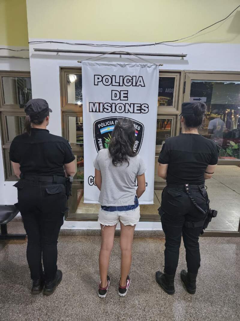 Robó un celular en un comercio y las cámaras del 911 la ubicaron cuando intentaba venderlo en una plaza imagen-2