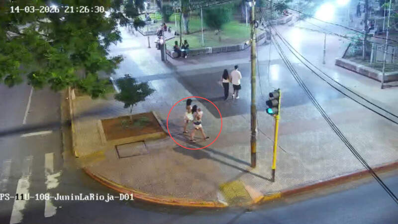 Robó un celular en un comercio y las cámaras del 911 la ubicaron cuando intentaba venderlo en una plaza imagen-8