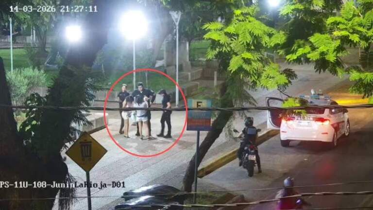 Robó un celular en un comercio y las cámaras del 911 la ubicaron cuando intentaba venderlo en una plaza imagen-26