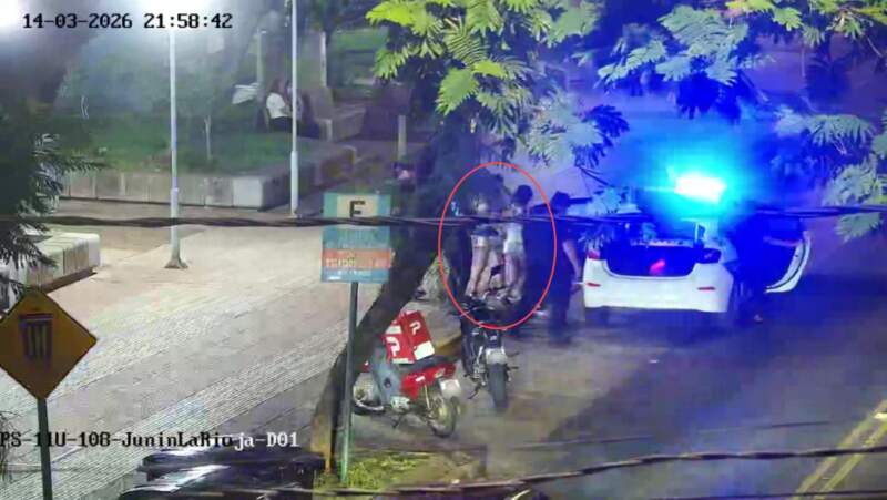 Robó un celular en un comercio y las cámaras del 911 la ubicaron cuando intentaba venderlo en una plaza imagen-12