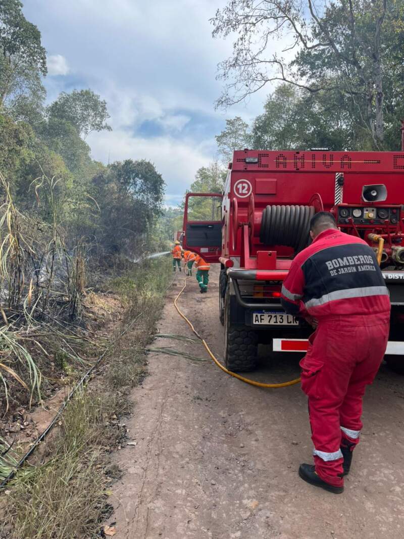 Santo Pipó: cuatro incendios de malezas y pinar movilizaron a bomberos y afectaron más de cinco hectáreas 5 Santo Pipó: cuatro incendios de malezas y pinar movilizaron a bomberos y afectaron más de cinco hectáreas imagen-4