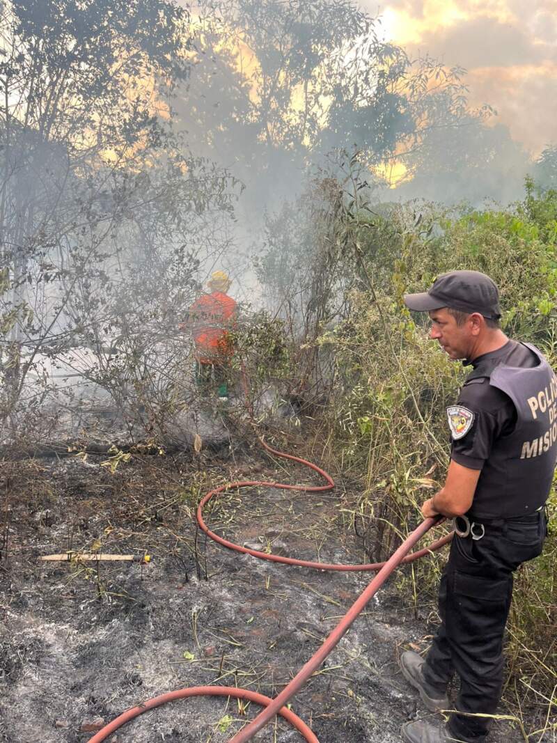Santo Pipó: cuatro incendios de malezas y pinar movilizaron a bomberos y afectaron más de cinco hectáreas 3 Santo Pipó: cuatro incendios de malezas y pinar movilizaron a bomberos y afectaron más de cinco hectáreas imagen-2