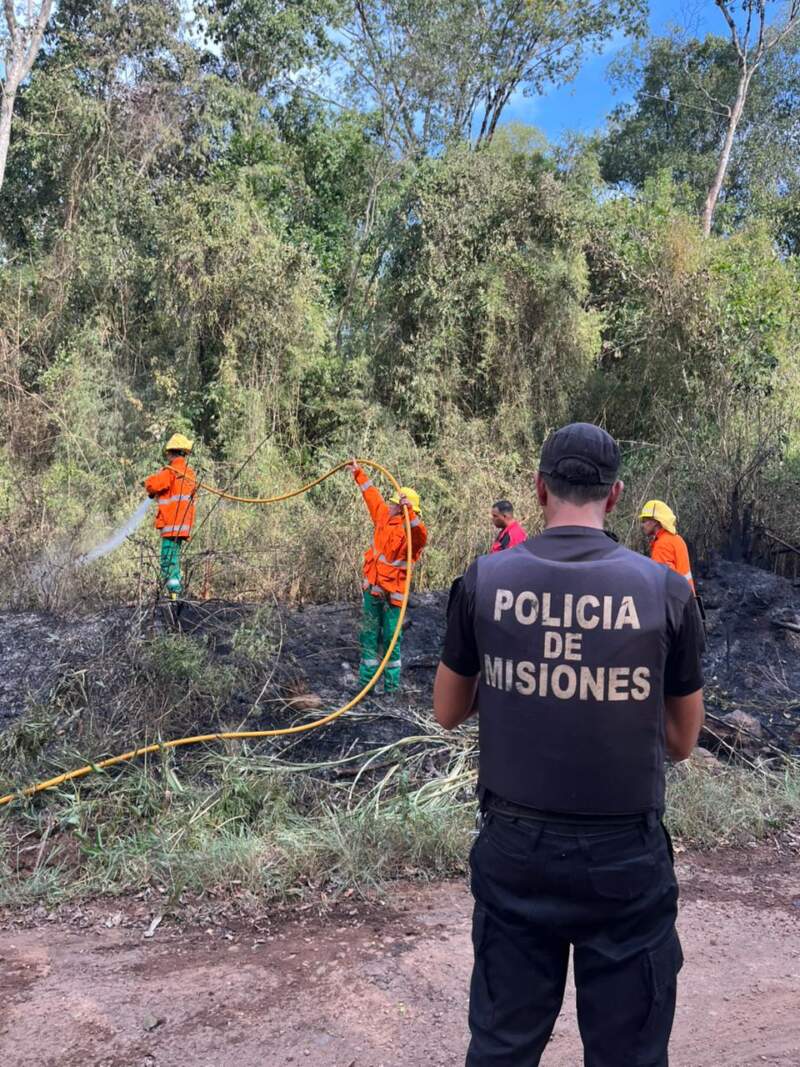 Santo Pipó: cuatro incendios de malezas y pinar movilizaron a bomberos y afectaron más de cinco hectáreas 13 Santo Pipó: cuatro incendios de malezas y pinar movilizaron a bomberos y afectaron más de cinco hectáreas imagen-12