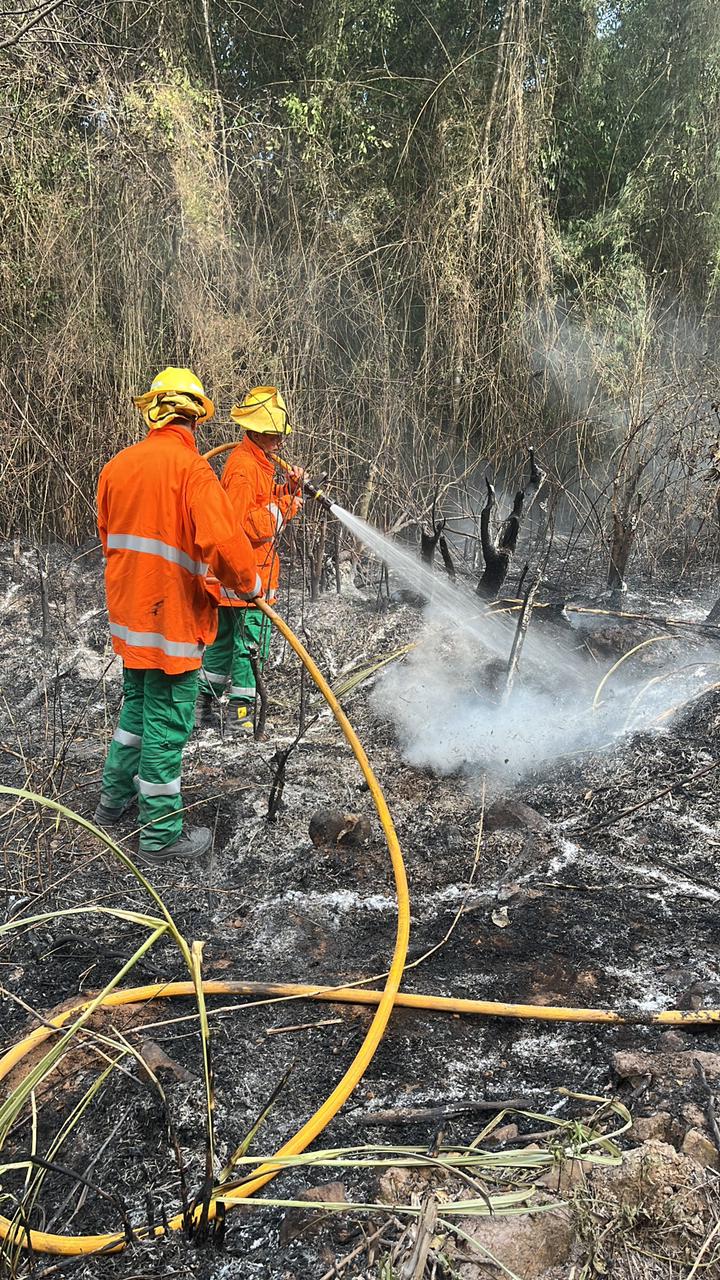 Santo Pipó: cuatro incendios de malezas y pinar movilizaron a bomberos y afectaron más de cinco hectáreas 11 Santo Pipó: cuatro incendios de malezas y pinar movilizaron a bomberos y afectaron más de cinco hectáreas imagen-10