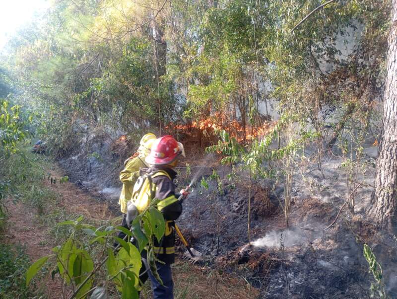 Santo Pipó: cuatro incendios de malezas y pinar movilizaron a bomberos y afectaron más de cinco hectáreas 15 Santo Pipó: cuatro incendios de malezas y pinar movilizaron a bomberos y afectaron más de cinco hectáreas imagen-14
