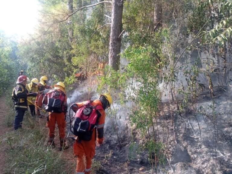 Santo Pipó: cuatro incendios de malezas y pinar movilizaron a bomberos y afectaron más de cinco hectáreas imagen-37