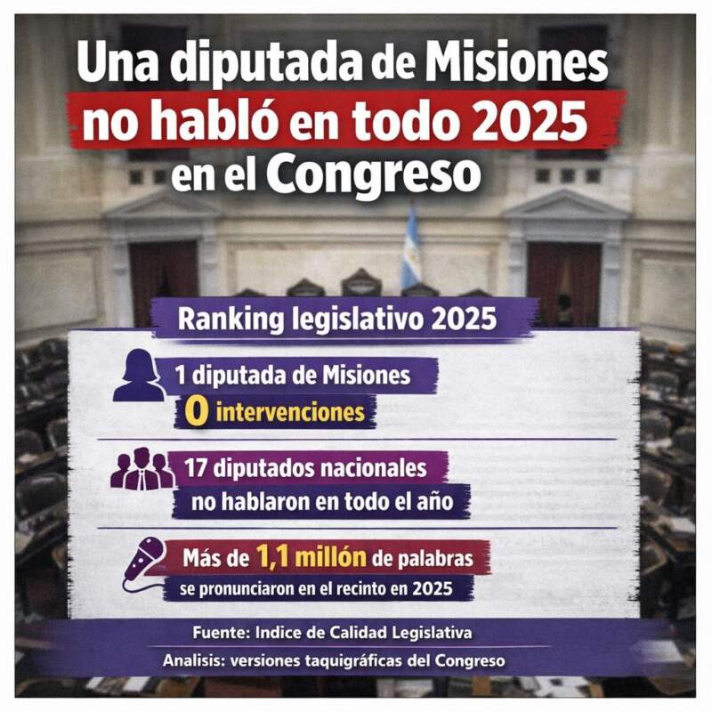 Solo una diputada misionera no habló en el recinto y dos tuvieron intervenciones mínimas 3 Solo una diputada misionera no habló en el recinto y dos tuvieron intervenciones mínimas imagen-2