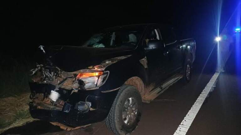 Siniestro vial en San José: una camioneta colisionó con un vacuno sobre la Ruta 14 imagen-34