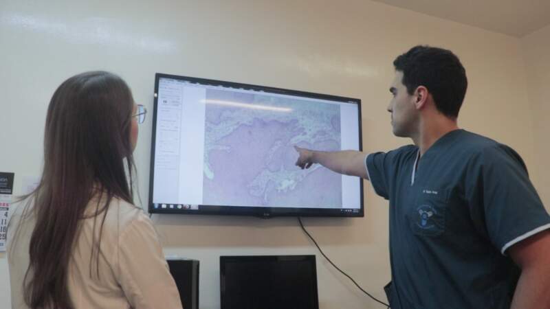 El Madariaga reanuda el programa de HPV con cobertura provincial y foco en la prevención del cáncer cervicouterino imagen-2