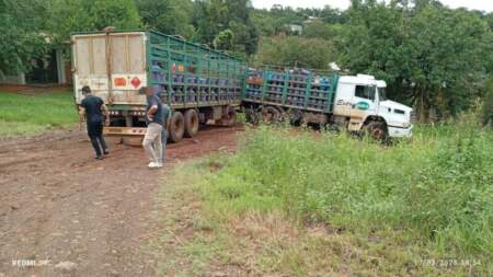 Garuhapé: Un camión de gas despistó y chocó contra un poste imagen-4