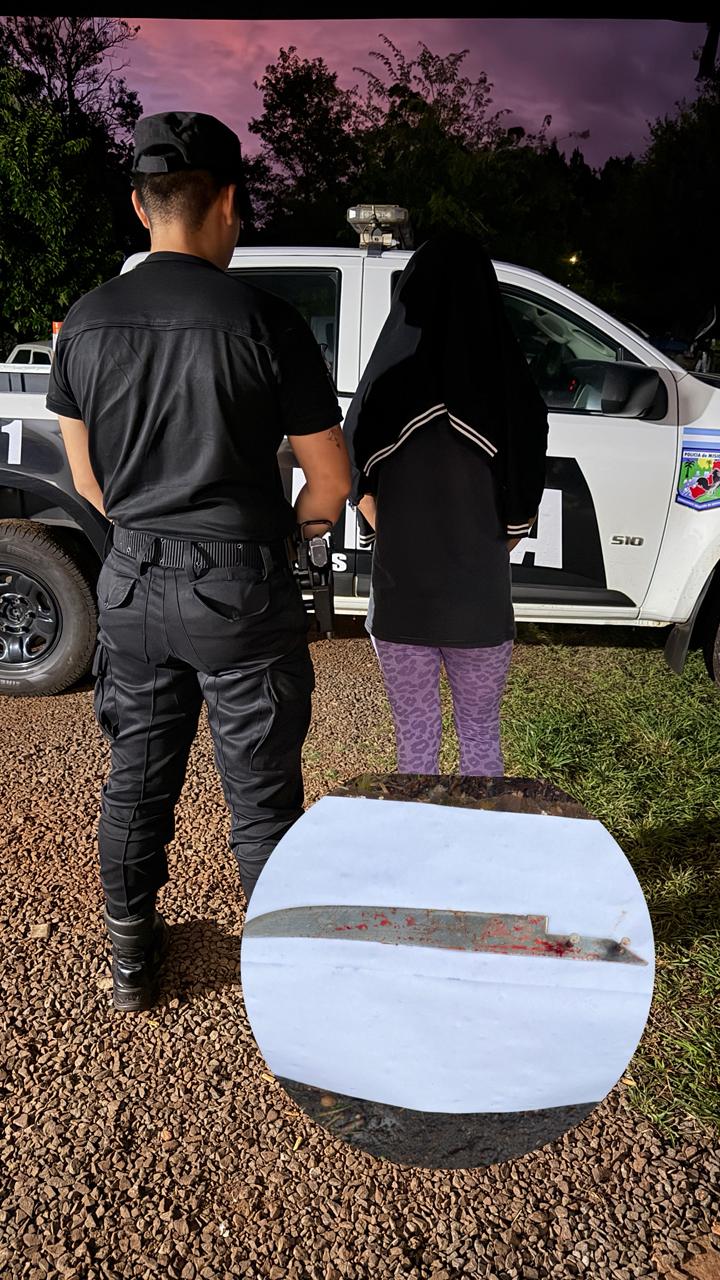 Fue a buscar a su expareja armada con un cuchillo y terminó detenida en Mártires imagen-1