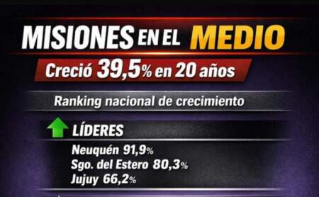 Misiones evita el fondo y supera a grandes distritos: creció más que Santa Fe, CABA y Mendoza, mientras Santa Cruz y Catamarca quedan últimos imagen-7