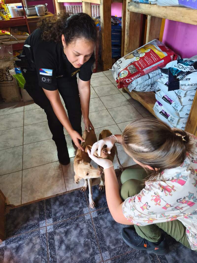 La denuncia de una proteccionista permitió que la Policía rescatara e iniciara una causa por crueldad animal en Santo Pipó imagen-10