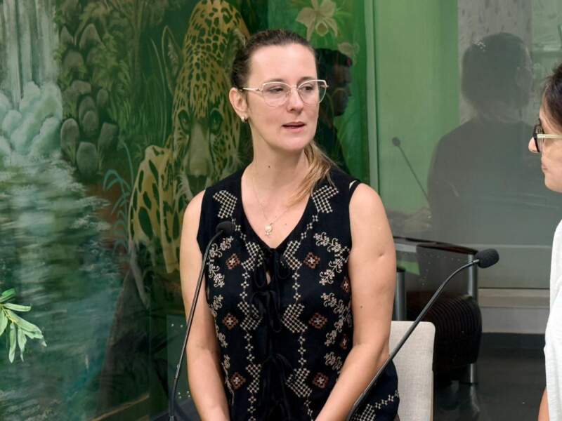 Del secundario a la universidad: desafíos en el ingreso, permanencia y elección de carreras en Misiones imagen-4