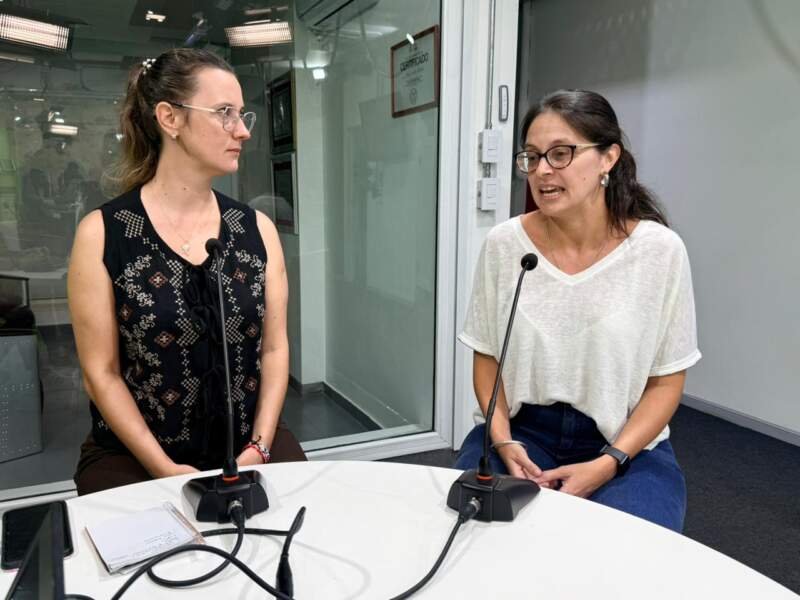 Del secundario a la universidad: desafíos en el ingreso, permanencia y elección de carreras en Misiones imagen-2