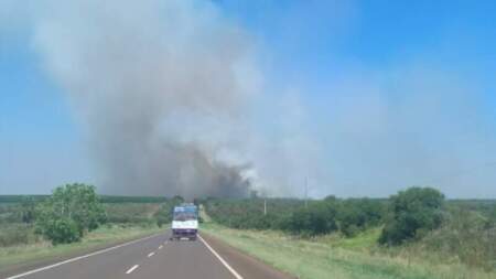 Brigadistas de Ecología trabajan combatiendo un incendio de gran magnitud en la zona de Posadas imagen-11