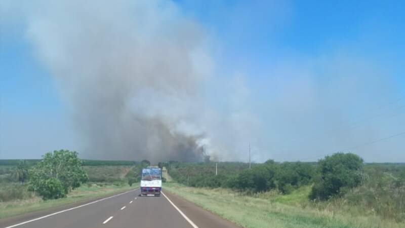 Brigadistas de Ecología trabajan combatiendo un incendio de gran magnitud en la zona de Posadas imagen-12