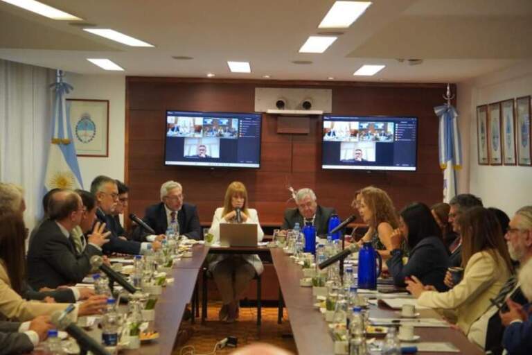 El STJ de Misiones participó de la reunión de Junta Directiva de REFLEJAR en el marco de JUFEJUS imagen-5