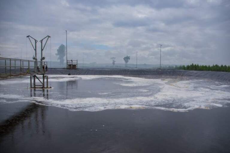 Recamán y su visita de inspección a Papel Misionero: “El desarrollo económico debe ir siempre de la mano del ambiente” imagen-24