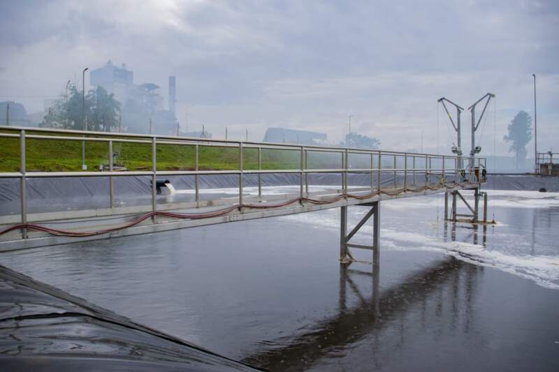 Recamán y su visita de inspección a Papel Misionero: “El desarrollo económico debe ir siempre de la mano del ambiente” imagen-12
