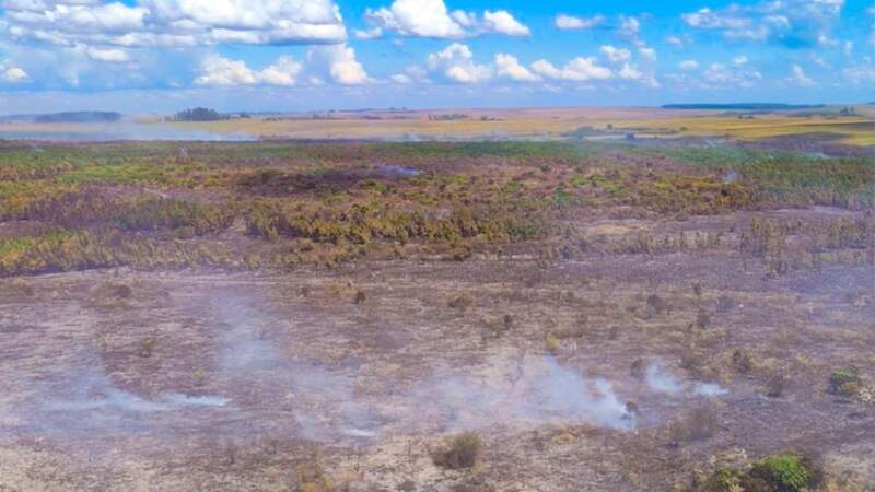 Ecología continúa trabajando en el área afectada por el incendio en Posadas 7 Ecología continúa trabajando en el área afectada por el incendio en Posadas imagen-6