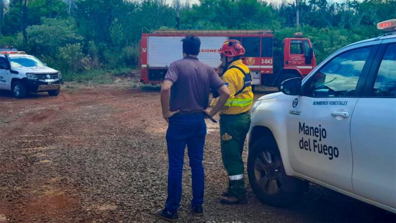 Ecología continúa trabajando en el área afectada por el incendio en Posadas 5 Ecología continúa trabajando en el área afectada por el incendio en Posadas imagen-4