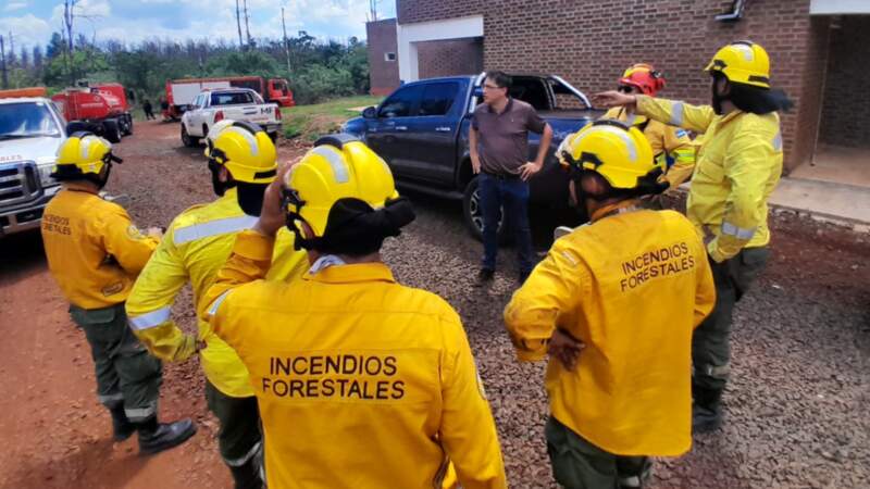 Ecología continúa trabajando en el área afectada por el incendio en Posadas 13 Ecología continúa trabajando en el área afectada por el incendio en Posadas imagen-12