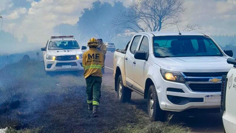 Ecología continúa trabajando en el área afectada por el incendio en Posadas 3 Ecología continúa trabajando en el área afectada por el incendio en Posadas imagen-2