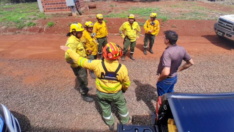 Ecología continúa trabajando en el área afectada por el incendio en Posadas 11 Ecología continúa trabajando en el área afectada por el incendio en Posadas imagen-10