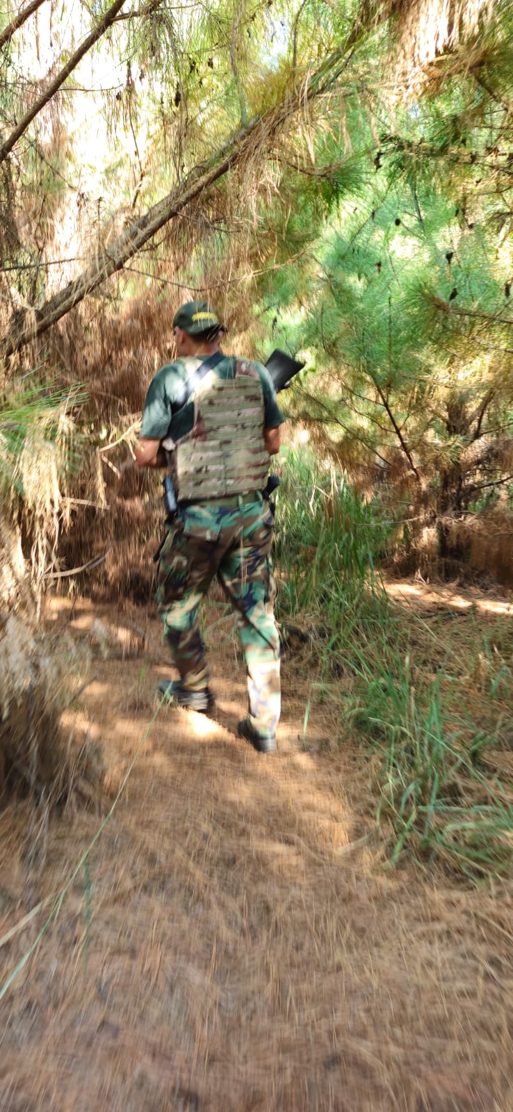 Desarmaron campamentos ocultos en la selva para caza y pesca furtiva y secuestraron casi 5 mil metros de redes imagen-8