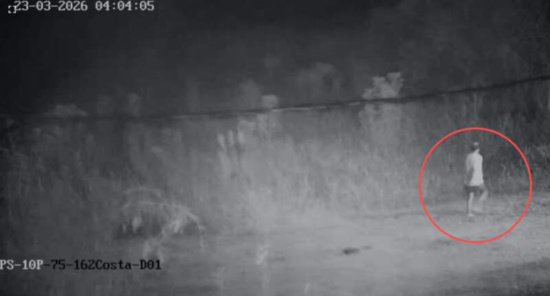 Sistema de monitoreo del 911 permitió atrapar a un delincuente con un transformador robado en Posadas imagen-8