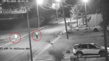 Sistema de monitoreo del 911 permitió atrapar a un delincuente con un transformador robado en Posadas imagen-11