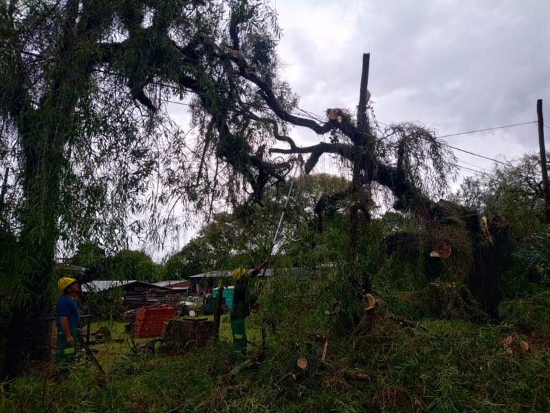 La Comuna realiza trabajos ante los inconvenientes ocasionados por el temporal imagen-2