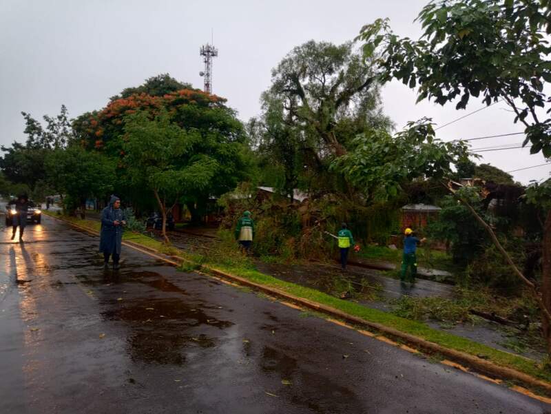 La Comuna realiza trabajos ante los inconvenientes ocasionados por el temporal imagen-6