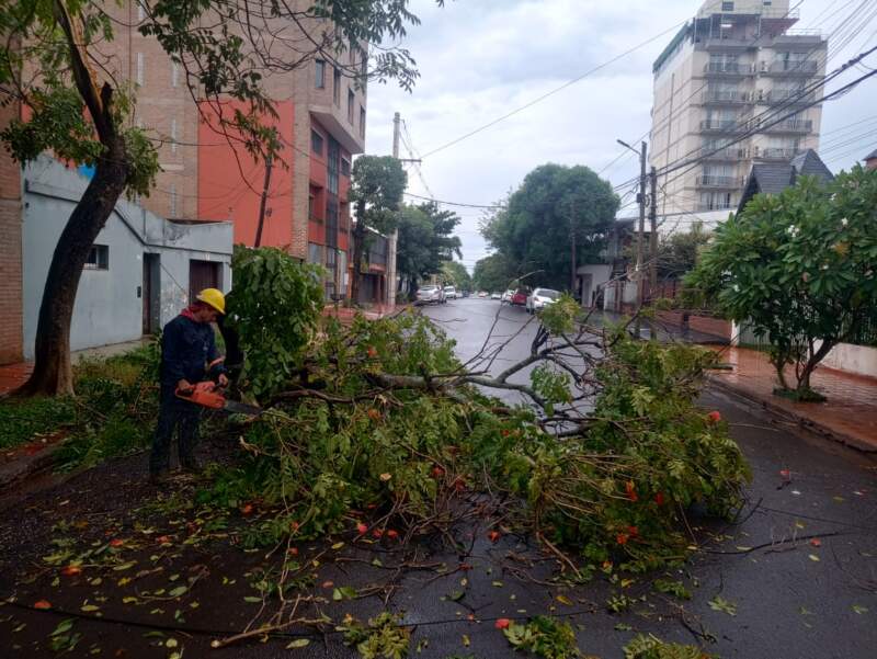 La Comuna realiza trabajos ante los inconvenientes ocasionados por el temporal imagen-4