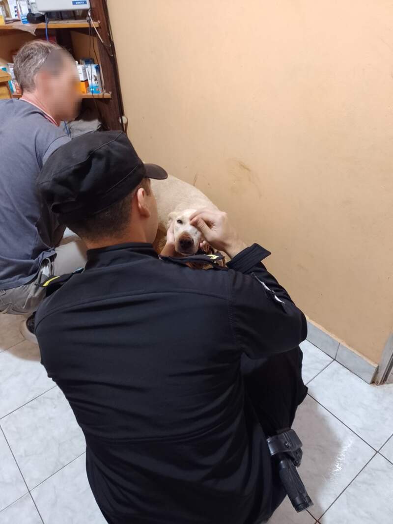 Se viralizó un presunto caso de abandono y la Policía rescató rápidamente al animal en Campo Viera imagen-2