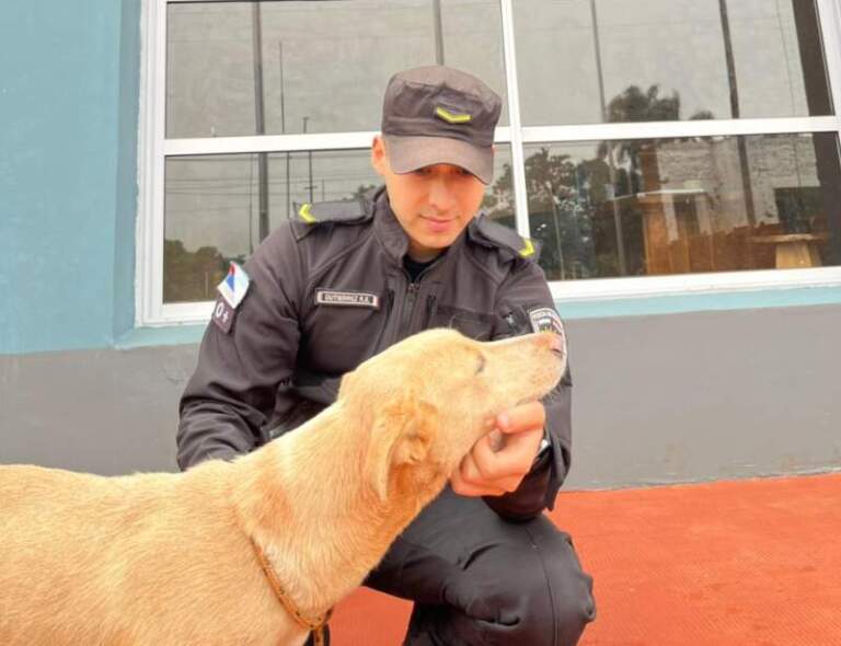 Se viralizó un presunto caso de abandono y la Policía rescató rápidamente al animal en Campo Viera imagen-16