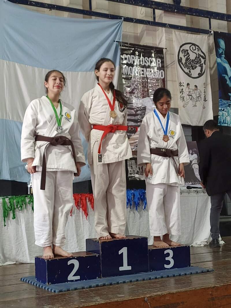 Karate: misioneros rumbo al Mundial de Brasil imagen-4