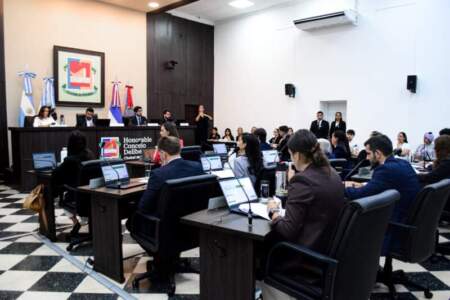 Concejales impulsan proyectos para fortalecer el comercio, el turismo y el desarrollo urbano de Posadas Concejales impulsan proyectos para fortalecer el comercio, el turismo y el desarrollo urbano de Posadas imagen-10