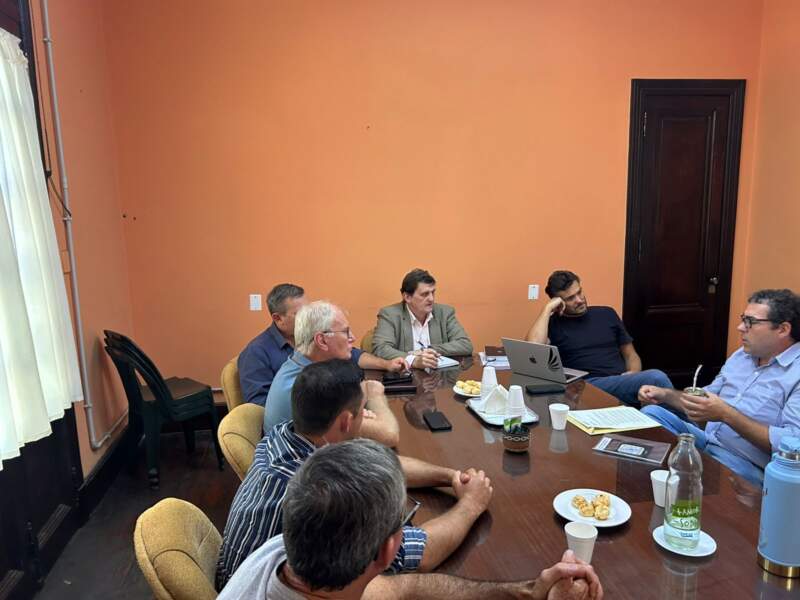 Financiamiento, energía renovable, Código Alimentario y mejoras productivas, los temas de la reunión entre Safrán y representantes yerbateros imagen-2